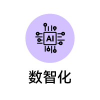 数智化